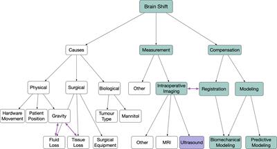 Brain Shift in Neuronavigation of Brain Tumors: An Updated Review of Intra-Operative Ultrasound Applications